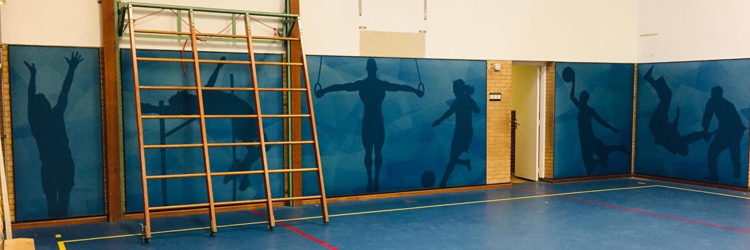 Pulastic Soundwall gymzaal Heerenveen