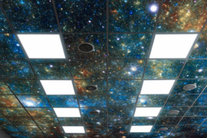 image-800×533